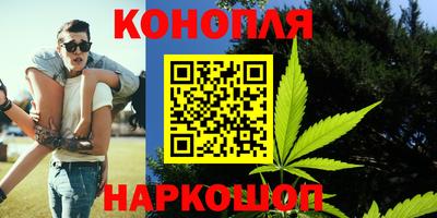 гашик Брянск