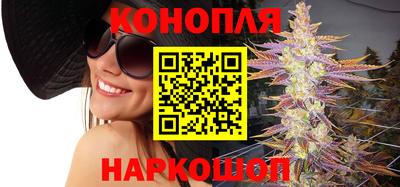 прущие грибы Владивосток