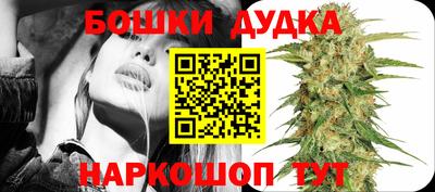 гашик Брянск