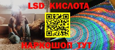 прущие грибы Владивосток